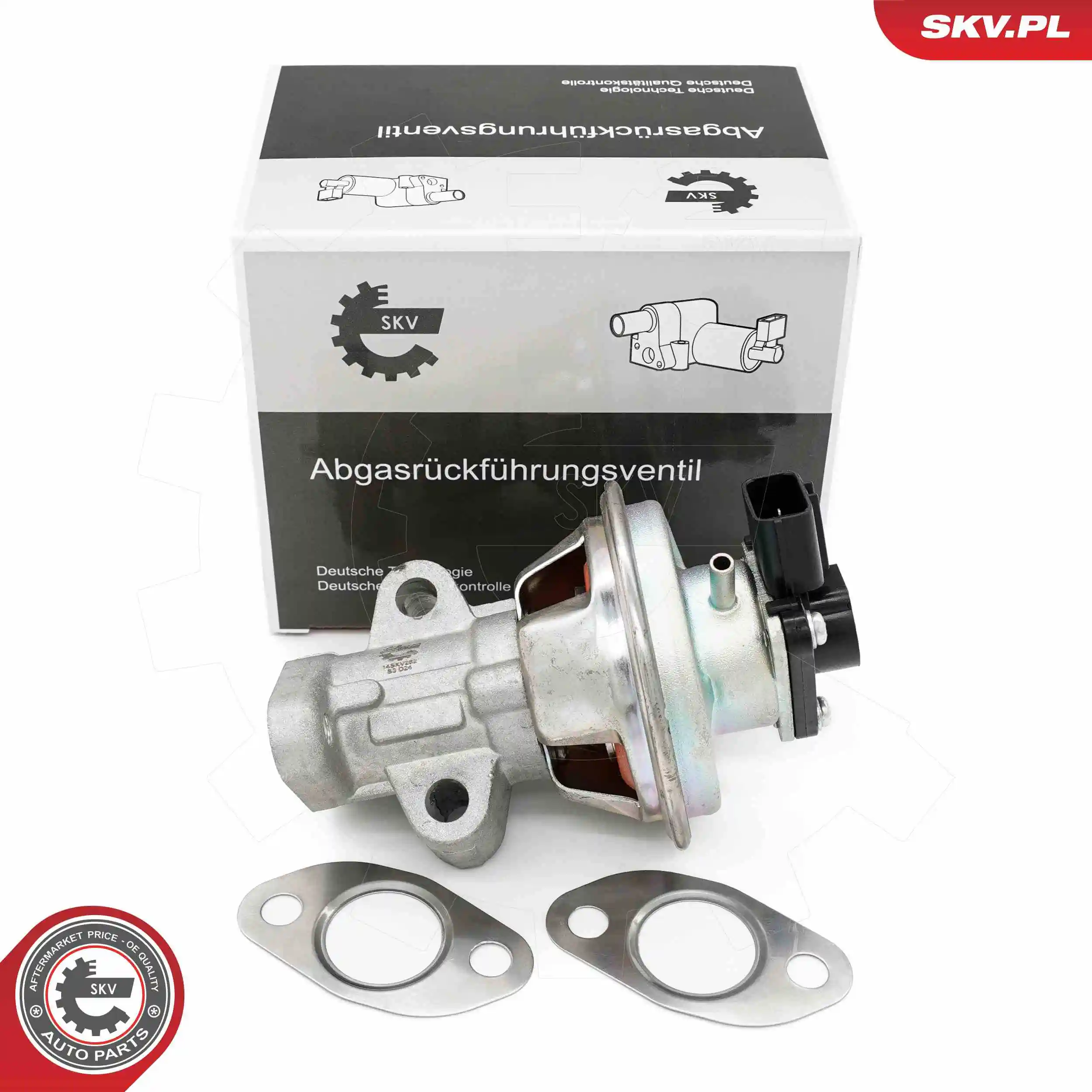 EGR Valve